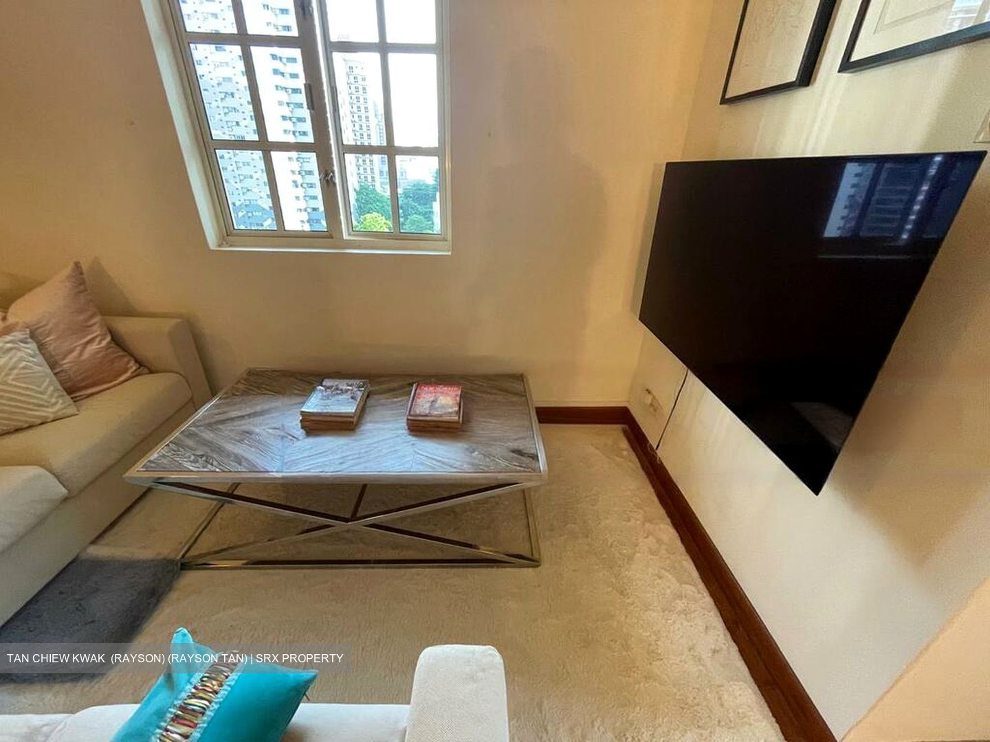 Saint Thomas Walk (D9), Condominium #480819491
